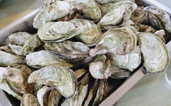 十九岁潮水RAP欢迎您仙踪林